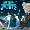 Virtual Sports