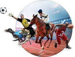 Apa Itu Virtual Sports Dan Cara Memasangnya